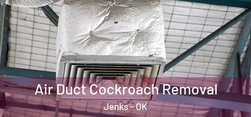 Air Duct Cockroach Removal Jenks - OK