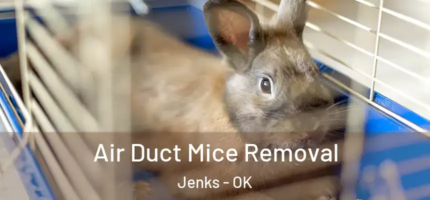  Air Duct Mice Removal Jenks - OK