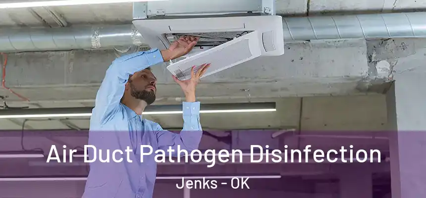  Air Duct Pathogen Disinfection Jenks - OK