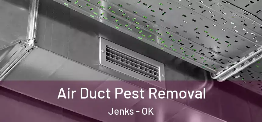  Air Duct Pest Removal Jenks - OK