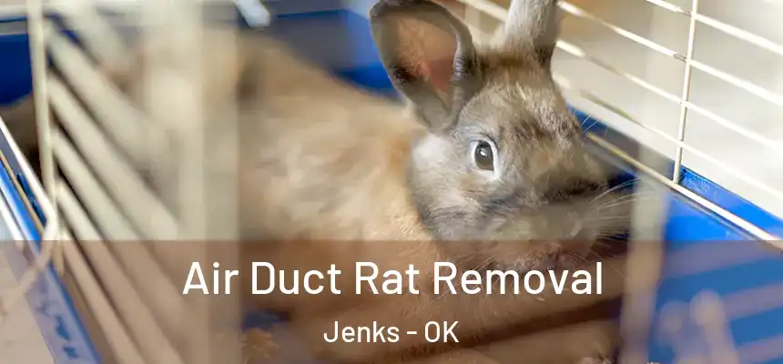  Air Duct Rat Removal Jenks - OK