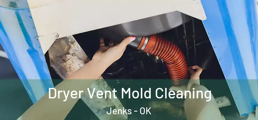 Dryer Vent Mold Cleaning Jenks - OK