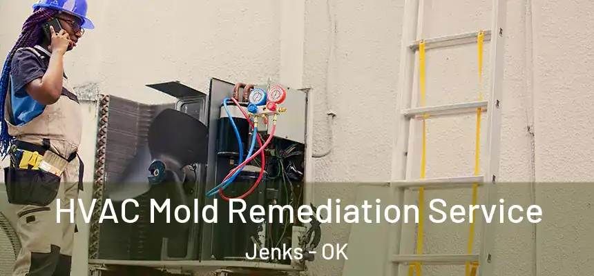 HVAC Mold Remediation Service Jenks - OK