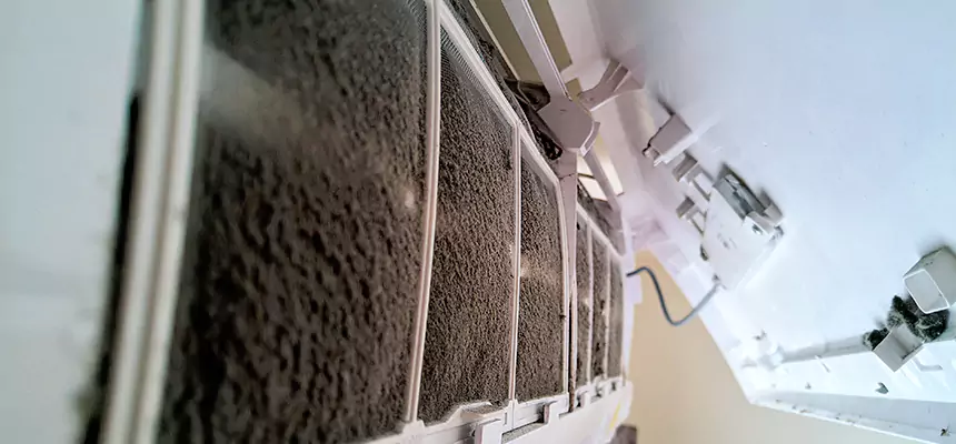 Preventive Air Duct Bacteria Removal in Jenks