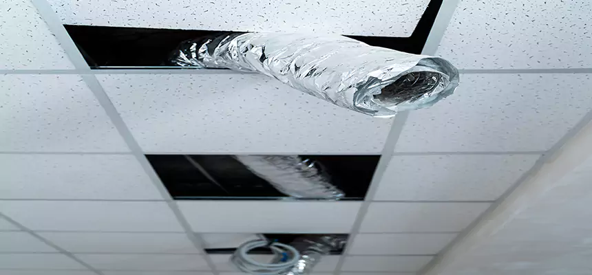 Affordable HVAC Sanitizing After Pest Removal in Jenks