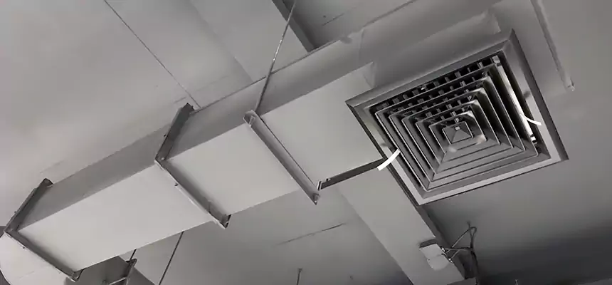 Our Pest Removal From Ducts Services in Jenks, OK