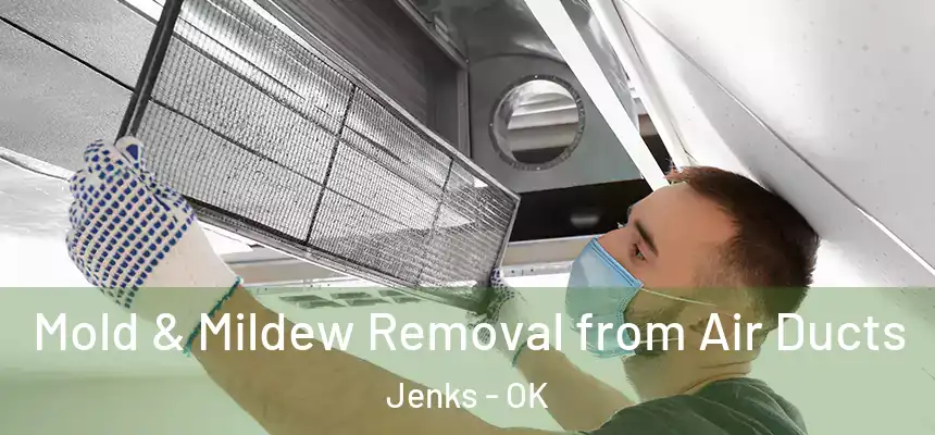  Mold & Mildew Removal from Air Ducts Jenks - OK