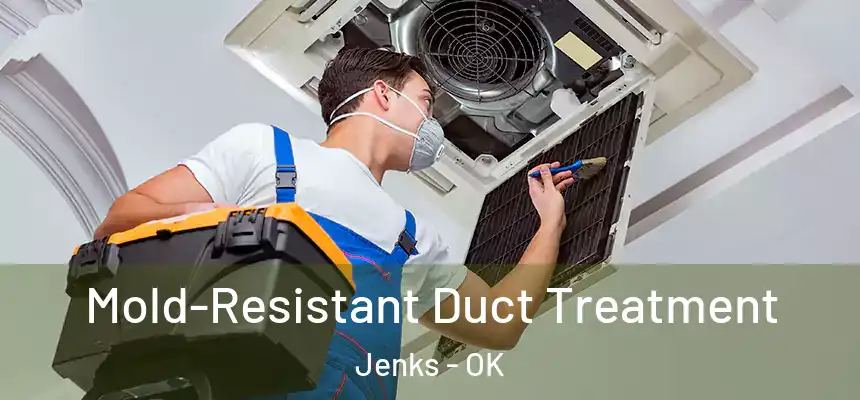  Mold-Resistant Duct Treatment Jenks - OK