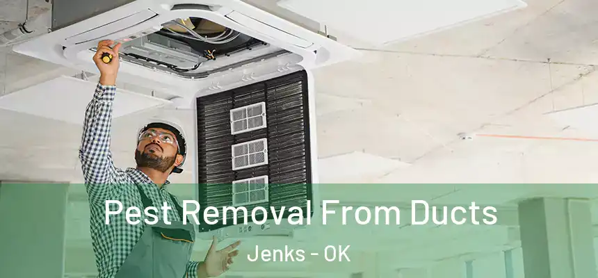 Pest Removal From Ducts Jenks - OK