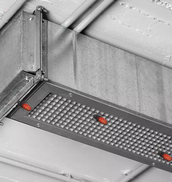 Affordable Insect Removal from Air Ducts in Jenks, OK