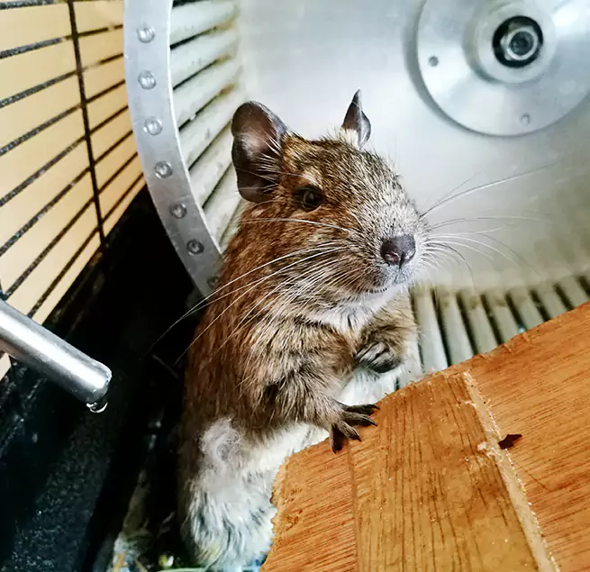 Why Homeowners & Businesses Trust Us Jenks, OK?